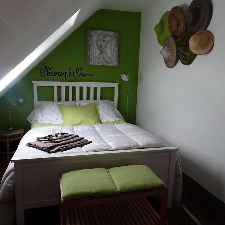 Chambres D'Hotes De La Voie Romaine Plouigneau Экстерьер фото